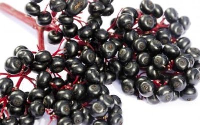 Aneka Jenis Makanan untuk Meminimalisir Tertular Flu