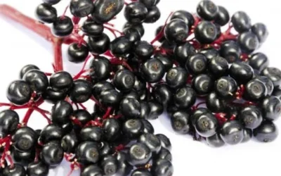 Aneka Jenis Makanan untuk Meminimalisir Tertular Flu