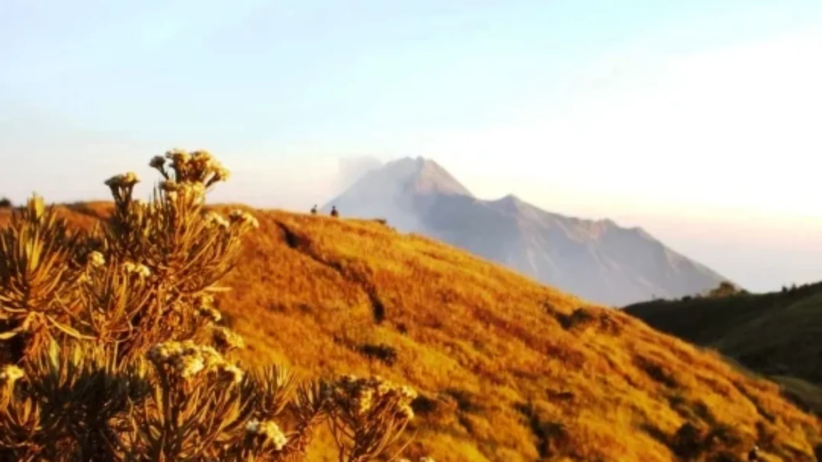 3 Tips Penting Persiapan Sebelum Sobat Mendaki Gunung