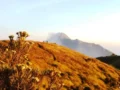 3 Tips Penting Persiapan Sebelum Sobat Mendaki Gunung