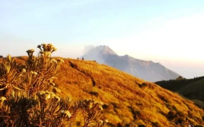 3 Tips Penting Persiapan Sebelum Sobat Mendaki Gunung