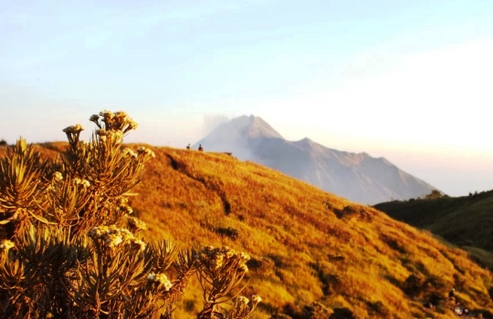 3 Tips Penting Persiapan Sebelum Sobat Mendaki Gunung