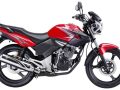 Cara Mengganti Kampas Kopling Honda Tiger Mudah & Cepat, Tanpa Perlu ke Bengkel