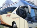 Tips Memilih Layanan Sewa Bus Pariwisata Terpercaya di Jakarta