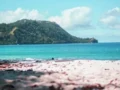 Menjelajahi Keindahan Pantai Likupang Surga Tersembunyi di Sulawesi Utara