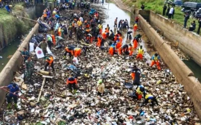 Mengenal DLH Indonesia dan Perannya untuk Lingkungan