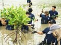 Universitas Pertamina Perkuat Pesisir Muara Gembong Lewat Aksi Tanam Mangrove