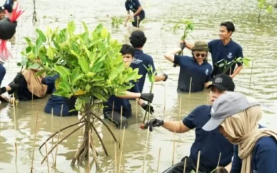 Universitas Pertamina Perkuat Pesisir Muara Gembong Lewat Aksi Tanam Mangrove